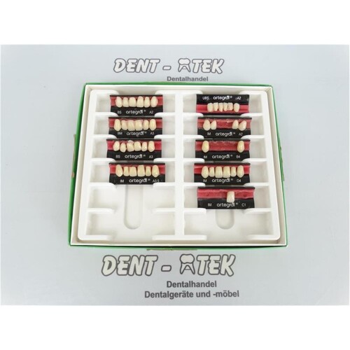 Zähne - Kunststoffzähne artegral von Merz Dental