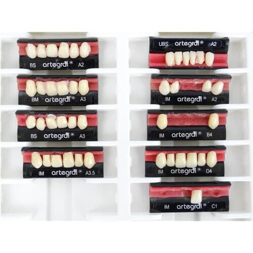 Zähne - Kunststoffzähne artegral von Merz Dental